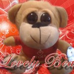 lovely_bear_front