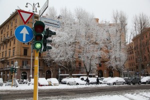 IMG_8960 copia