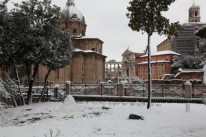 IMG_9042 copia