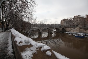 IMG_9100 copia