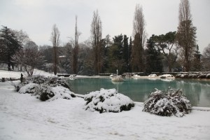 IMG_9483 copia