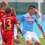 hamsik2