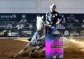 Fieracavalli: Il mondo Usa prende vita a Verona. Appaloosa, Paint e Quarter Horse saranno i protagonisti del Westernshow.