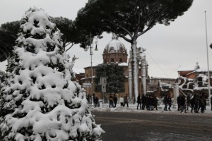 IMG_9034 copia