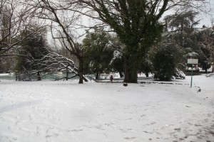 IMG_9492 copia