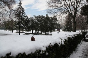 IMG_9512 copia
