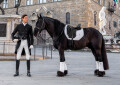 Fieracavalli Verona 2026: il dressage delle stelle debutta al Pala Range Rover